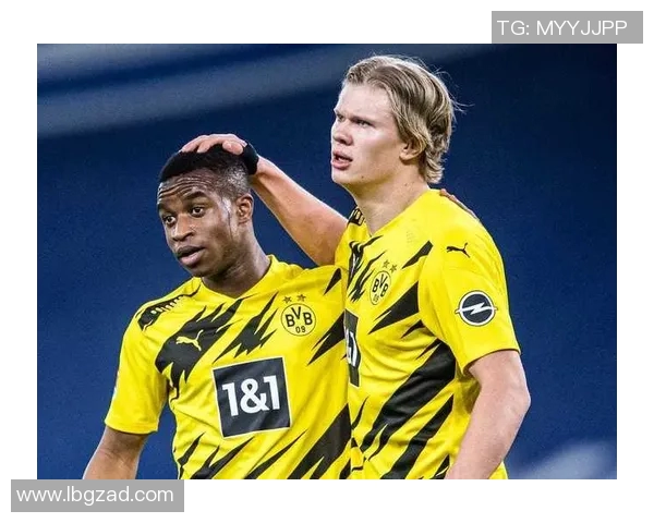 哈兰德在足球界的崛起与未来展望：天才前锋的传奇之路