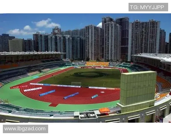 广东与深圳精彩对决回放12月赛事全景分析与精彩瞬间回顾 广东与深圳精彩对决回放12月赛事全景分析与精彩瞬间回顾